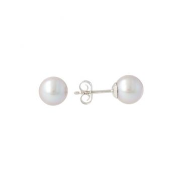 Sundrops  | Ear Studs White Gold | Pearl